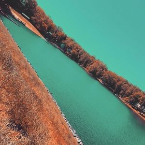 Meet your Posher, Curtis